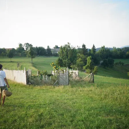 Elias Residency